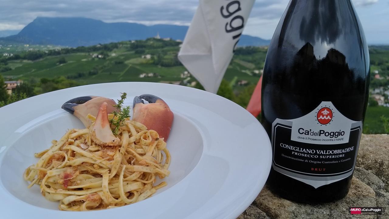 Villa Del Poggio Prosecco Bike Hotel Сан-Пьетро-ди-Фелетто Экстерьер фото